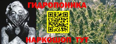 спайс Канаш