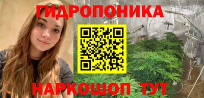 прущие крисы Камышлов