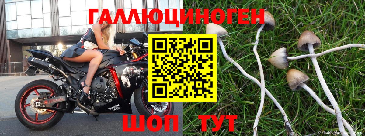 Псилоцибиновые грибы Magic Shrooms  Вход с VPN  Иркутск 