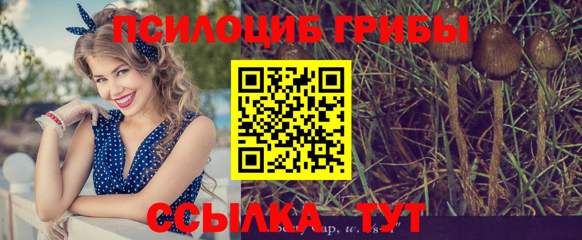 Псилоцибиновые грибы мицелий Иркутск